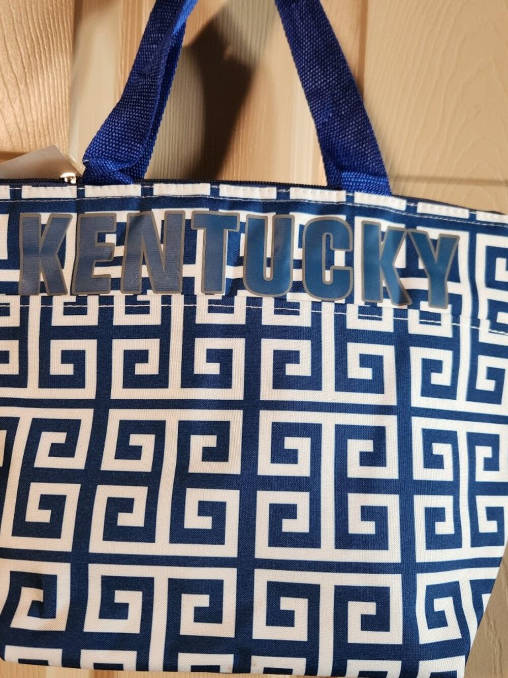 KENTUCKY Lunchbox or Cooler, BLUE, new without tags